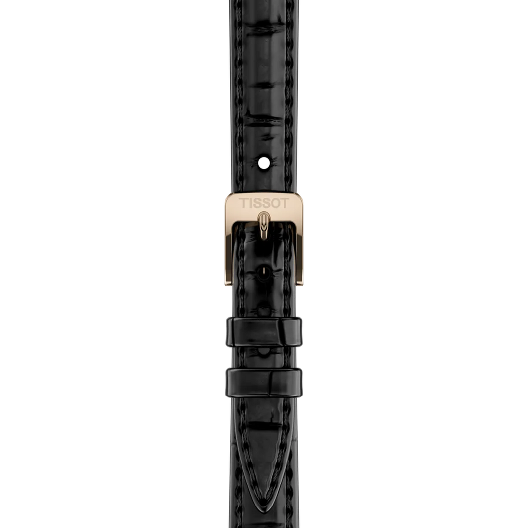 Strap zoom of the watch Tissot SRV 30mm, reference T160.110.36.113.00