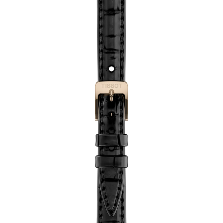 Strap zoom of the watch Tissot SRV 30mm, reference T160.110.36.113.00