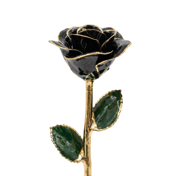Sparkling Black 24K Gold Dipped Rose