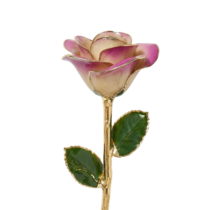 Champagne and Purple 24K Gold Dipped Rose