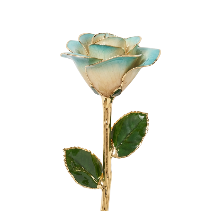 Champagne and Tiffany Blue 24K Gold Dipped Rose