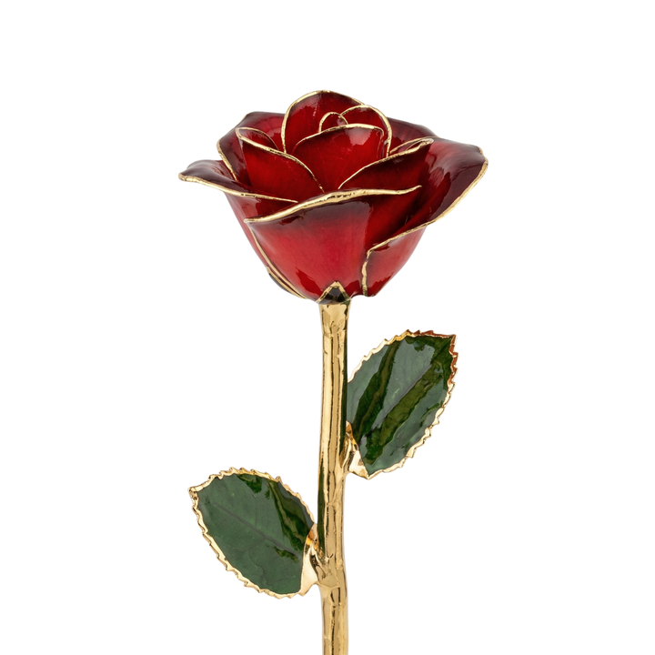 Classic Red 24K Gold Dipped Rose