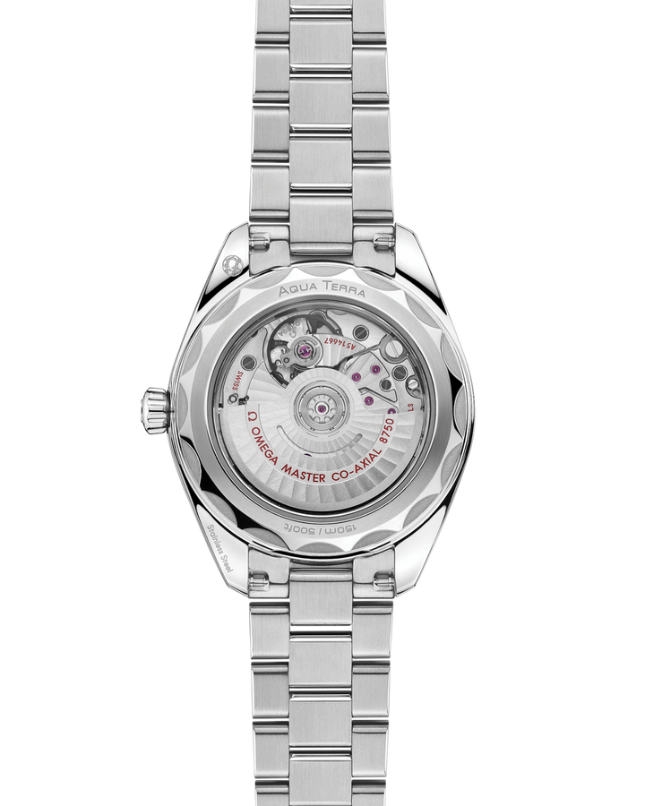 OMEGA Seamaster Aqua Terra 150M 30 mm 220.10.30.20.09.001 — view 2