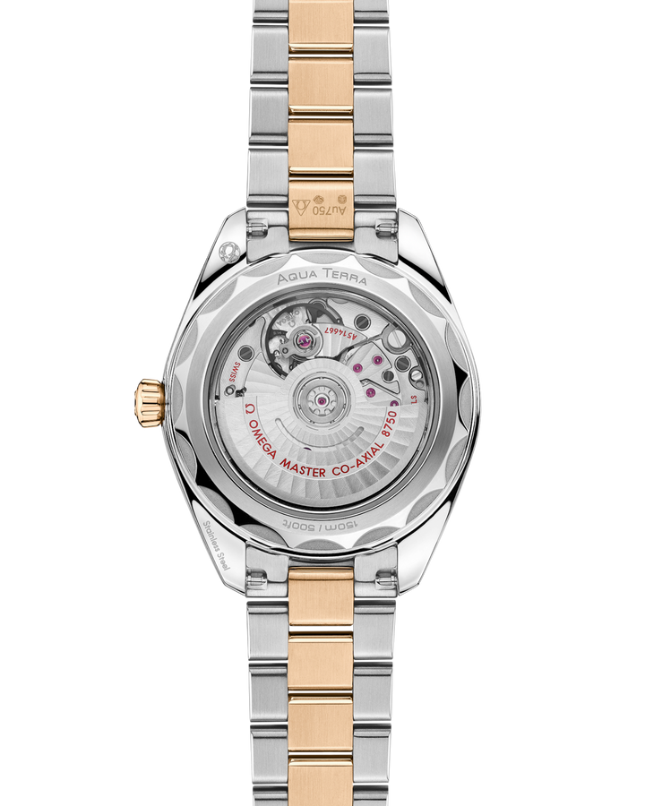 OMEGA Seamaster Aqua Terra 150M 30 mm 220.20.30.20.02.001 open case back