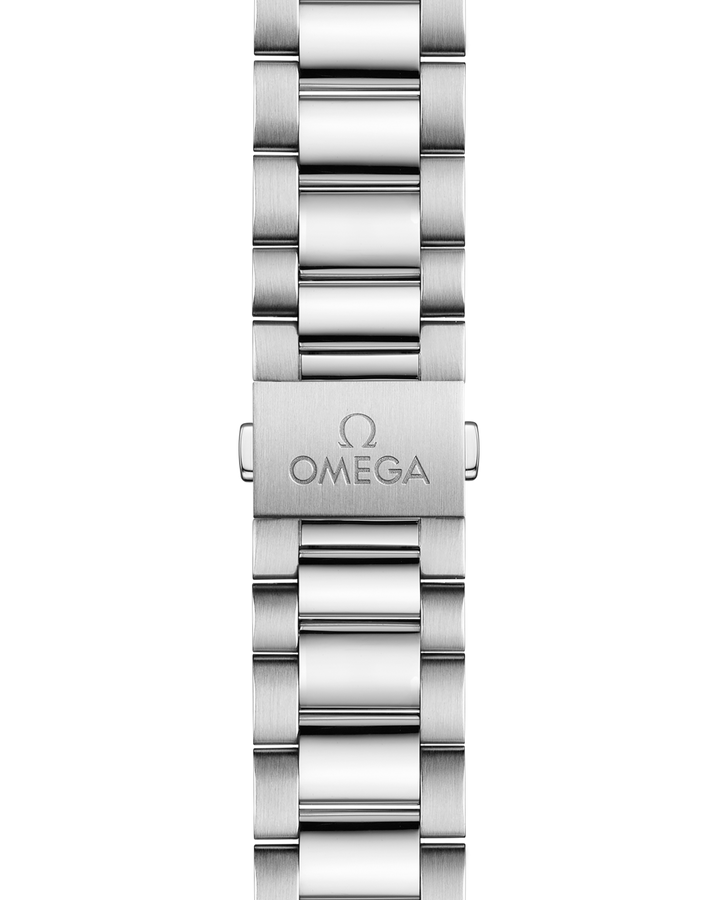 OMEGA Seamaster Aqua Terra 150M 38 mm 220.10.38.20.02.001 strap