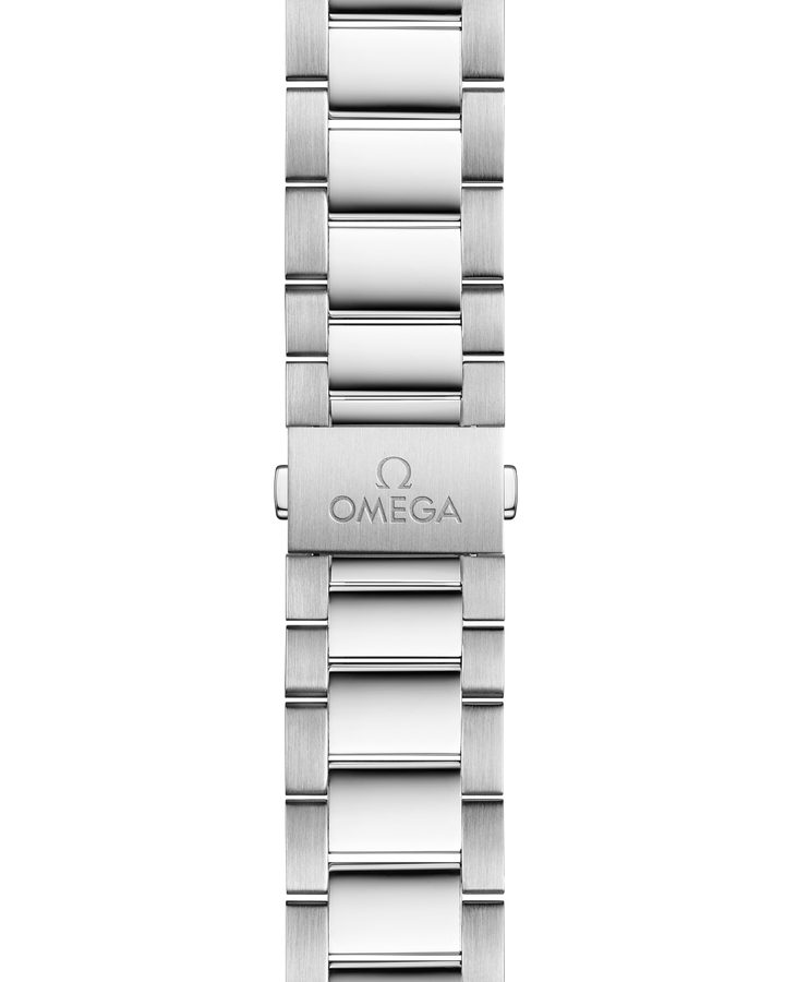 OMEGA Seamaster Aqua Terra 150M 41 mm 220.10.41.21.10.001 strap