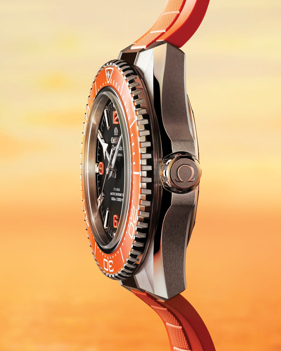 OMEGA Seamaster Planet Ocean 600M 42 mm 217.32.42.21.01.004 profil