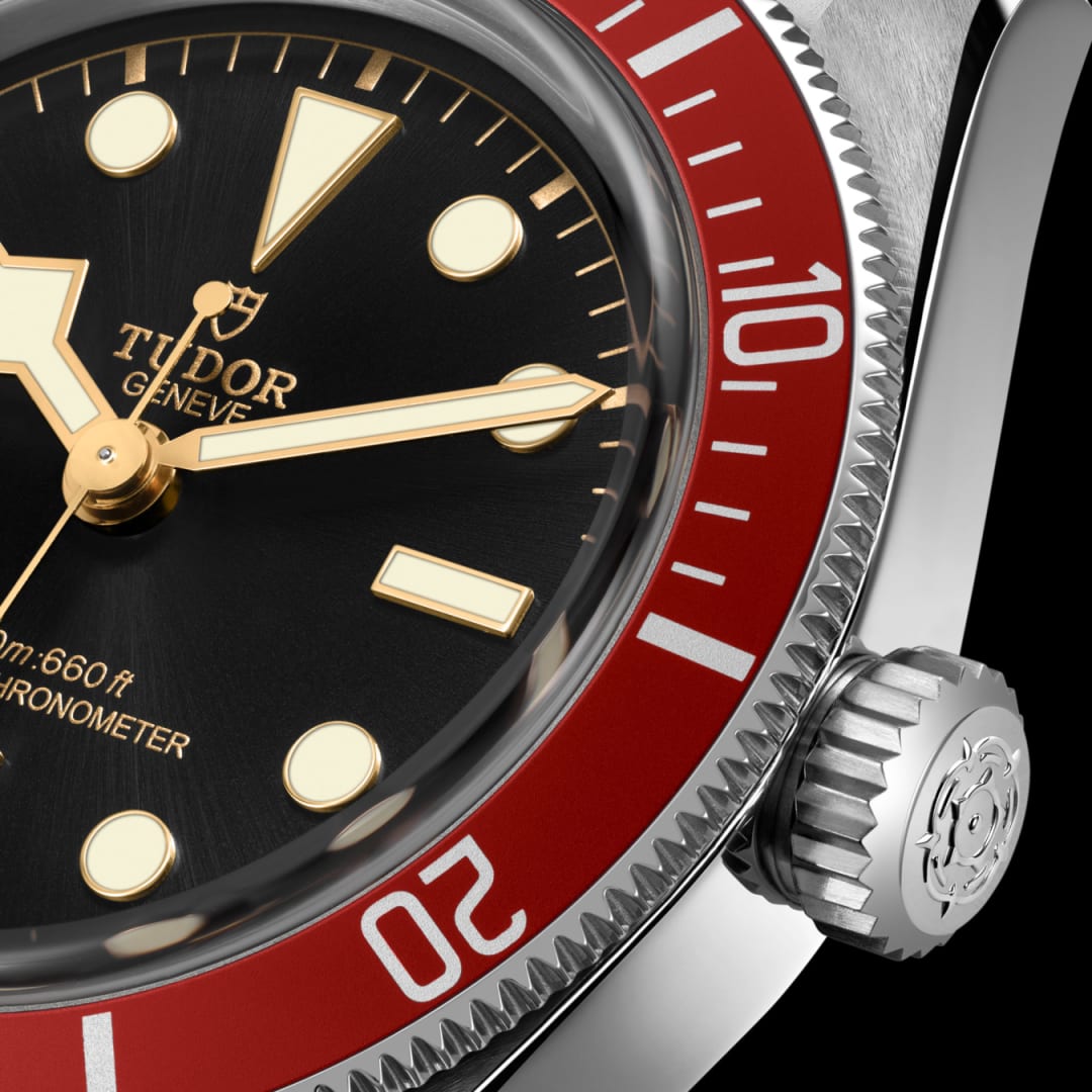 TUDOR Black Bay 41 mm M7941A1A0RU-0001 dial detail