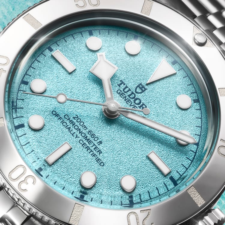 TUDOR Black Bay 54 37 mm M79000-0001 dial