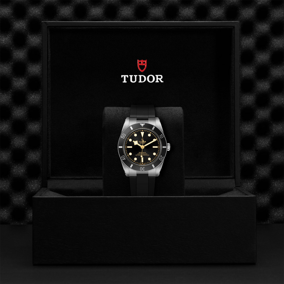 TUDOR Black Bay 54 37 mm M79000N-0002 box 2