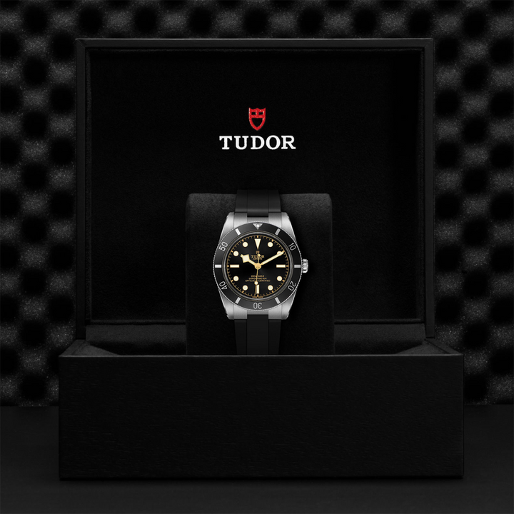TUDOR Black Bay 54 37 mm M79000N-0002 box 2