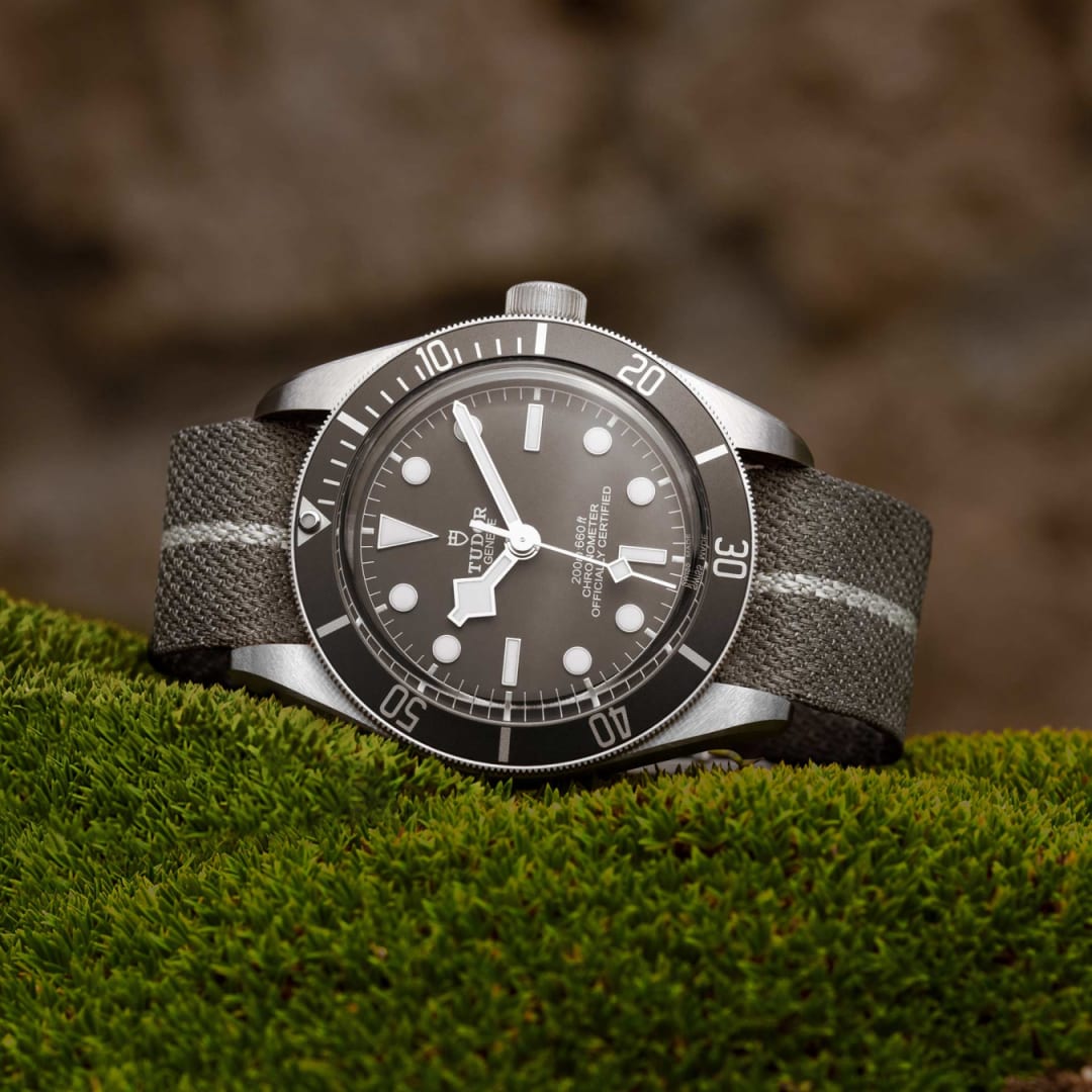 TUDOR Black Bay 58 925 39 mm M79010SG-0002 view