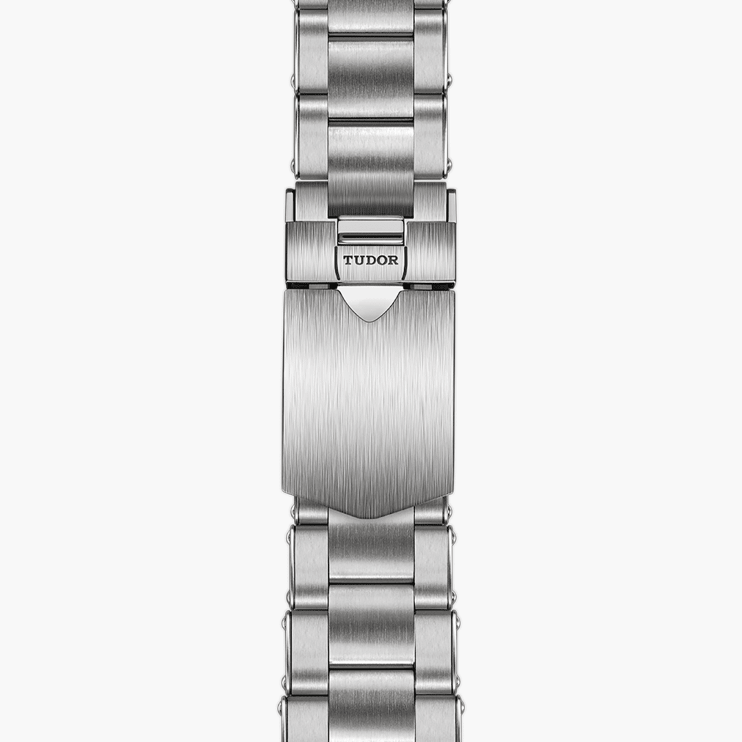 TUDOR Black Bay GMT 41 mm M79830RB-0001 strap