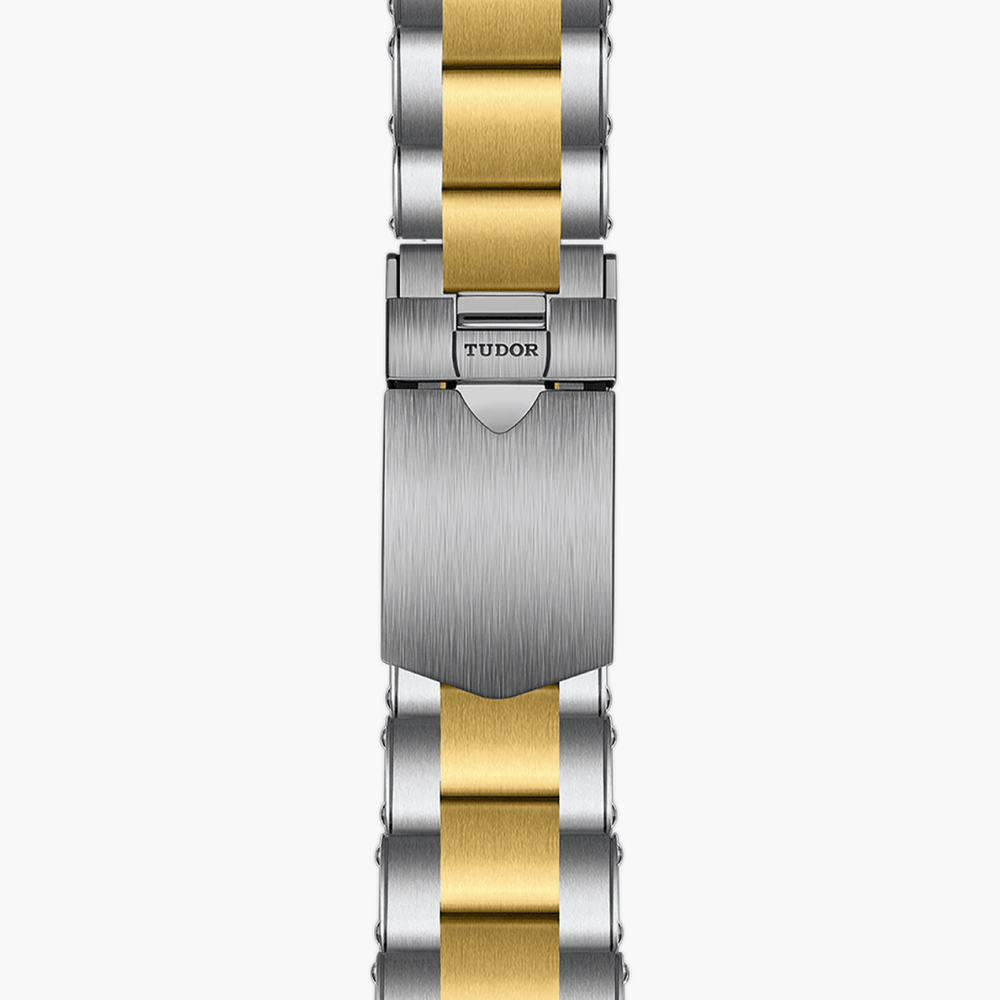 TUDOR Black Bay GMT S&G 41 mm M79833MN-0001 strap