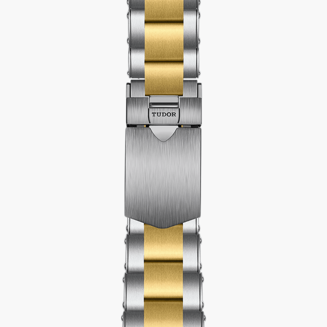 TUDOR Black Bay GMT S&G 41 mm M79833MN-0001 strap