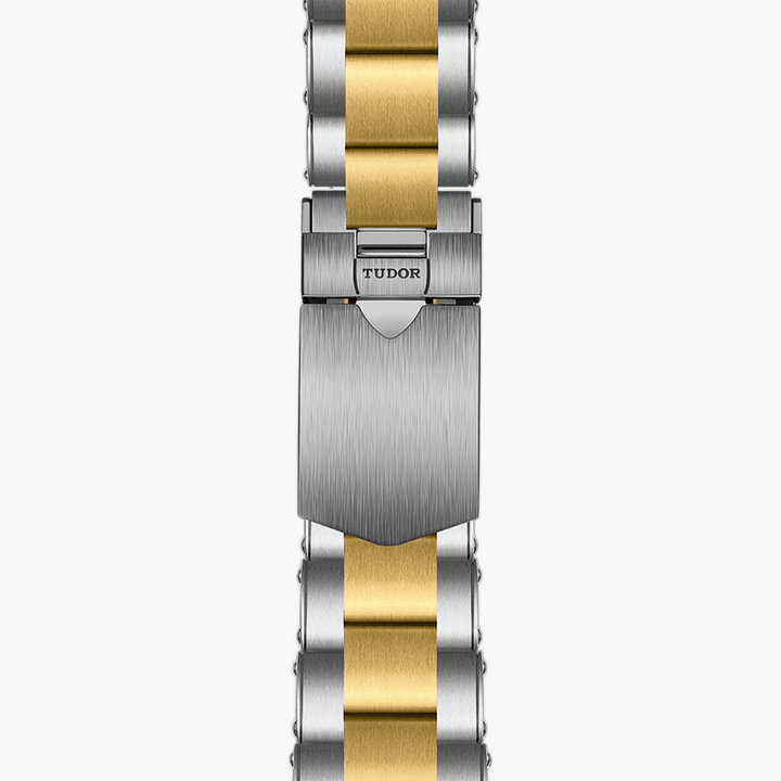 TUDOR Black Bay GMT S&G 41 mm M79833MN-0001 strap