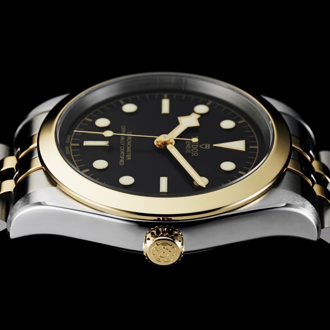 TUDOR Black Bay One S&G 39 mm M79663-0001 profil