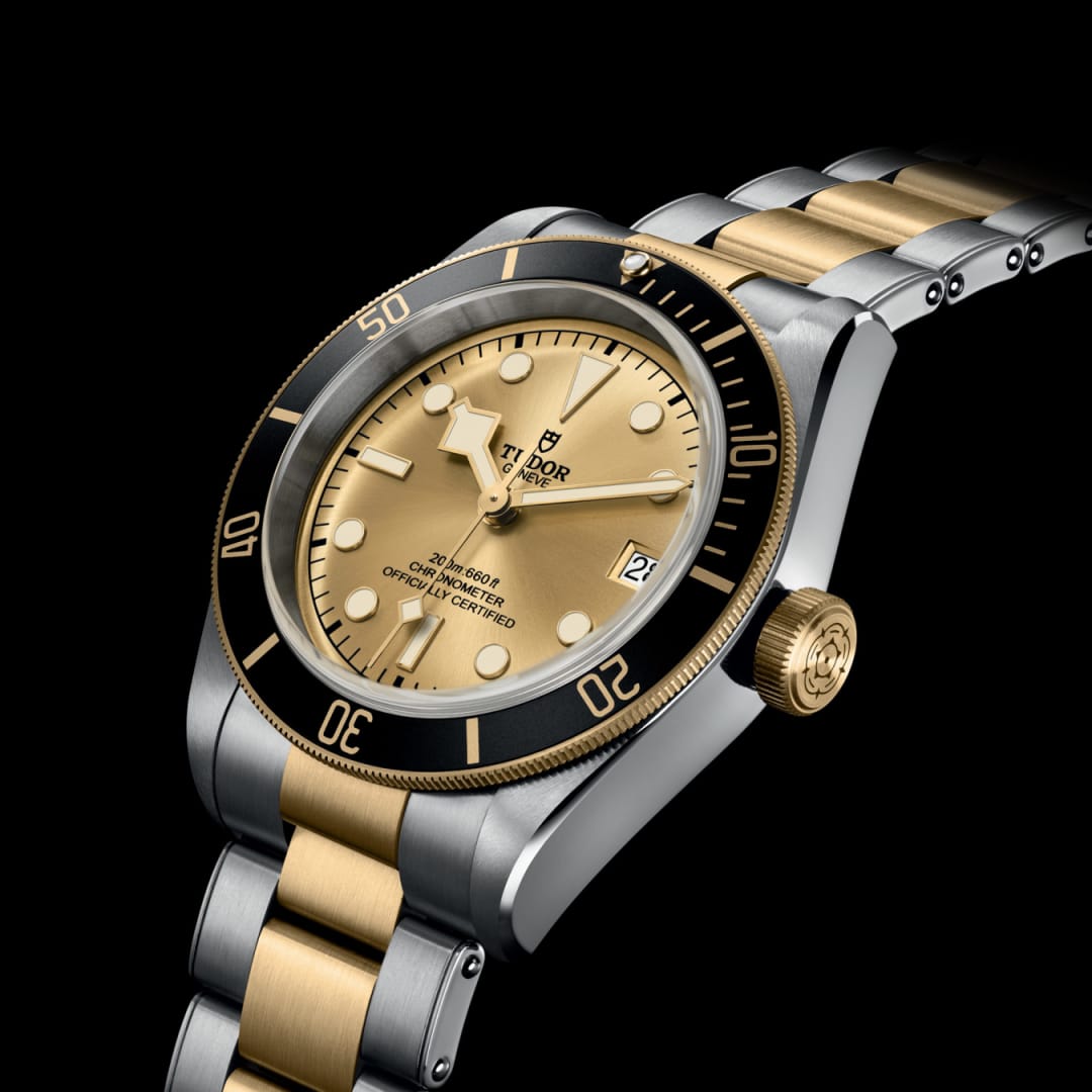 TUDOR Black Bay S&G 41 mm M79733N-0004 main view