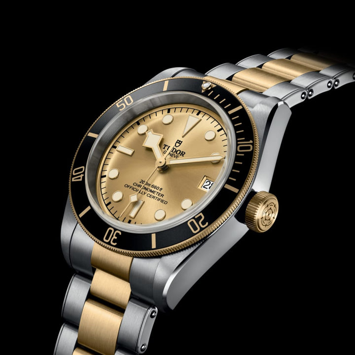 TUDOR Black Bay S&G 41 mm M79733N-0004 main view