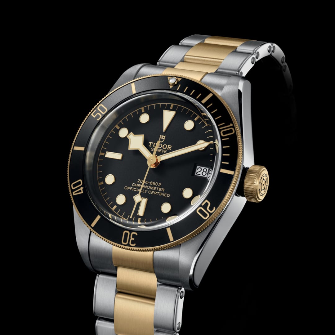 TUDOR Black Bay S&G 41 mm M79733N-0008 side view