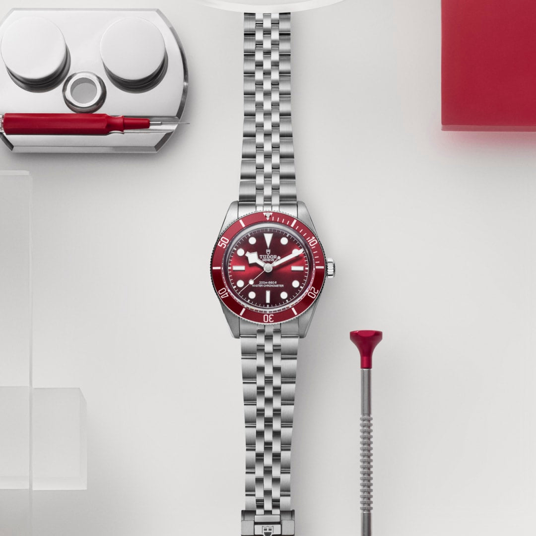 Tudor Black Bay 58 39 mm M7939A1A0RU-0001 kit