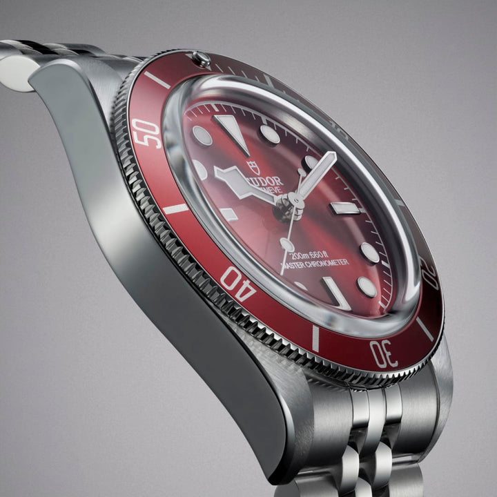 Tudor Black Bay 58 39 mm M7939A1A0RU-0001 profil