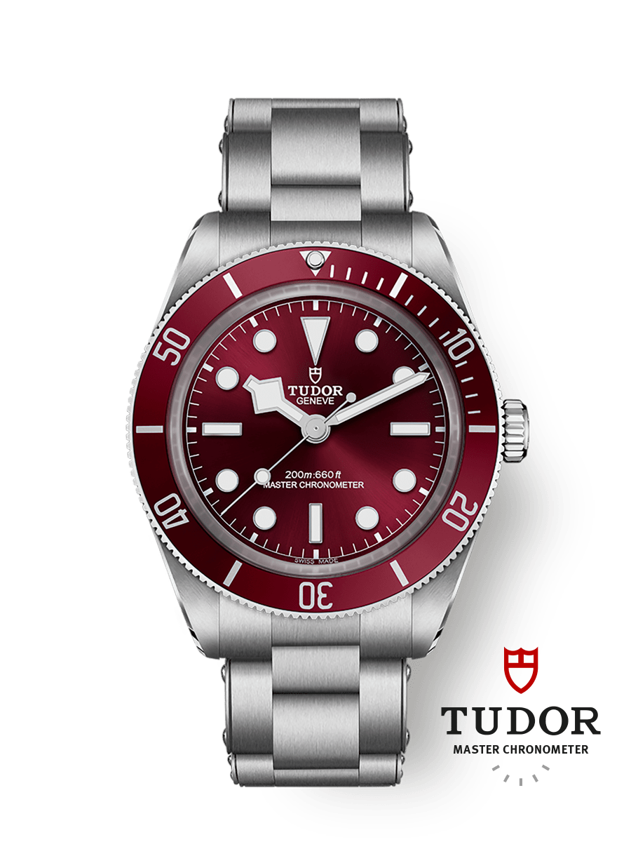Tudor Black Bay 58 39 mm M7939A1A0RU-0002