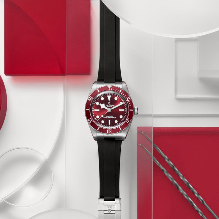 Tudor Black Bay 58 39 mm M7939A1A0RU-0003 kit