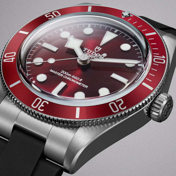 Tudor Black Bay 58 39 mm M7939A1A0RU-0003 red dial