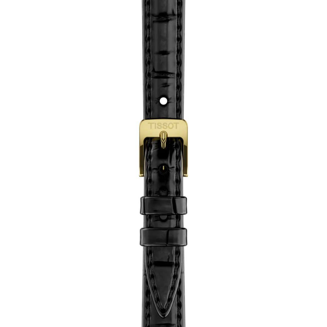 Strap zoom of the watch Tissot SRV 30mm, reference T160.110.36.126.00