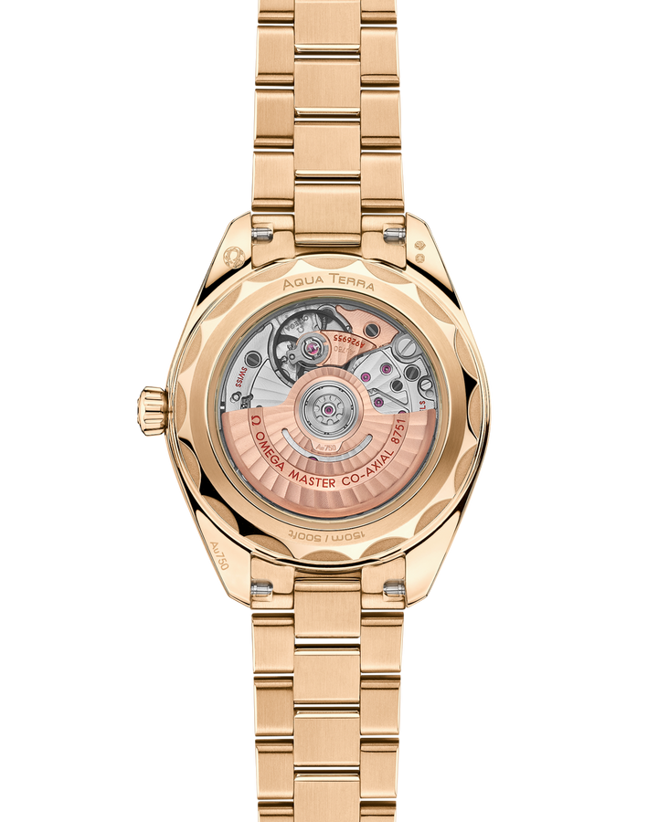 OMEGA Seamaster Aqua Terra 150M 30 mm 220.55.30.20.55.001 caseback