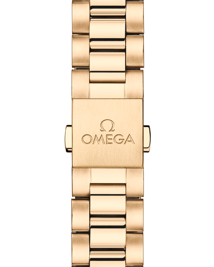 OMEGA Seamaster Aqua Terra 150M 30 mm 220.55.30.20.55.001 bracelet