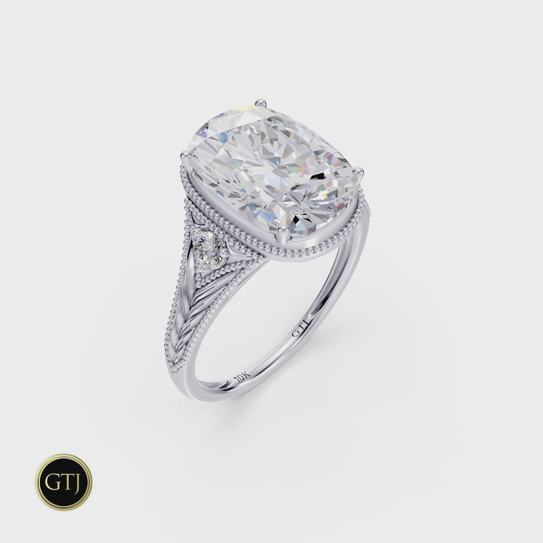 The 2025 Boxing Day Ring