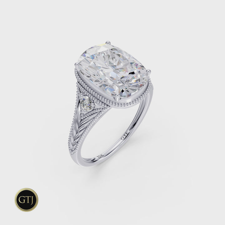 The 2025 Boxing Day Ring