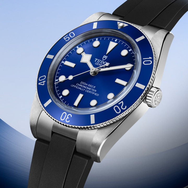 TUDOR Black Bay 54 37 mm M79000B-0002