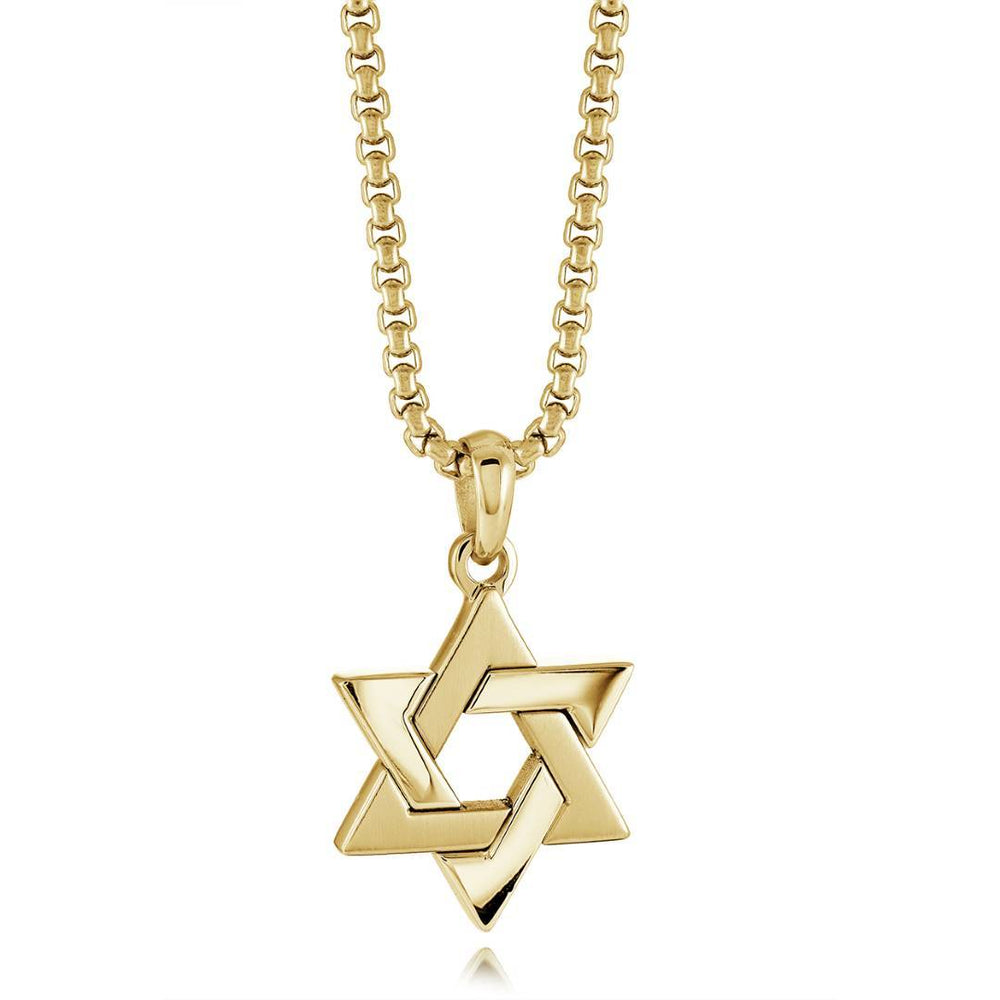 Italgem Steel Brushed and Polished Star of David Necklace — SP404-GO