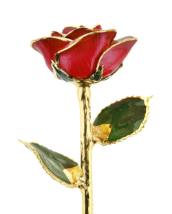 Red 24k Gold Dipped Rose 