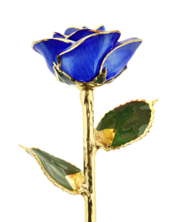 Royal Blue 24k Gold Dipped Rose 