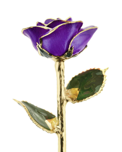 Purple 24k Gold Dipped Rose 